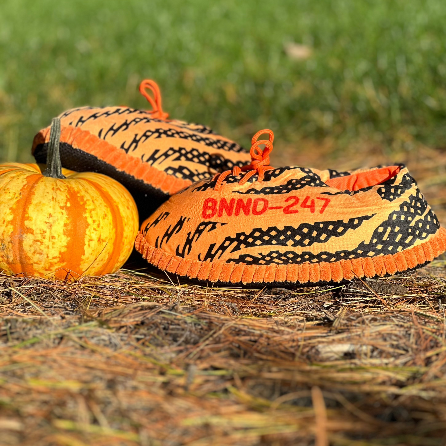 Jack-o'-lantern Kicks